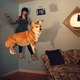 Illustration for article titled Shooting Challenge: Levitation, Gallery 1